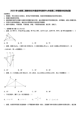 2025年七级第二期新世纪外国语学校数学七年级第二学期期末检测试题含解析