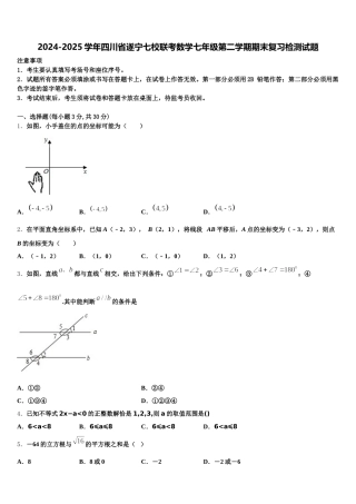 2024-2025学年四川省遂宁七校联考数学七年级第二学期期末复习检测试题含解析