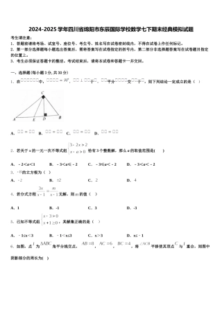 2024-2025学年四川省绵阳市东辰国际学校数学七下期末经典模拟试题含解析
