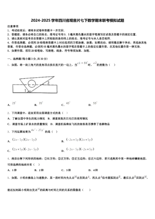 2024-2025学年四川省观音片七下数学期末联考模拟试题含解析