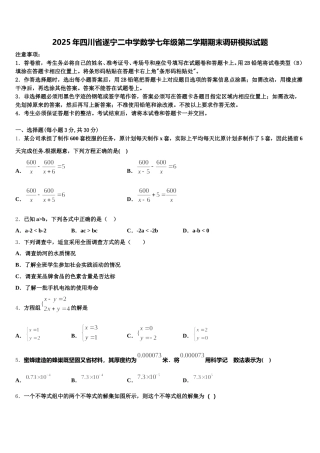 2025年四川省遂宁二中学数学七年级第二学期期末调研模拟试题含解析