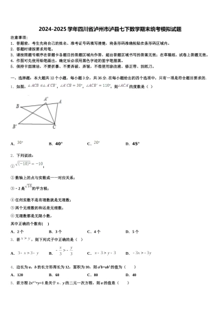 2024-2025学年四川省泸州市泸县七下数学期末统考模拟试题含解析