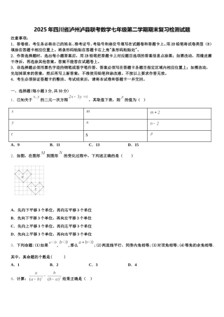 2025年四川省泸州泸县联考数学七年级第二学期期末复习检测试题含解析