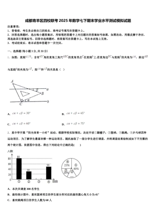 成都青羊区四校联考2025年数学七下期末学业水平测试模拟试题含解析