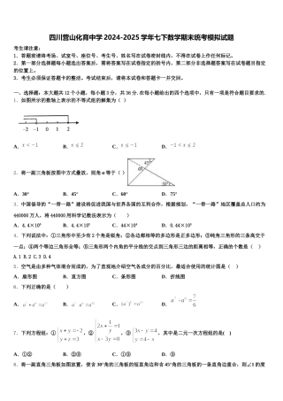 四川营山化育中学2024-2025学年七下数学期末统考模拟试题含解析
