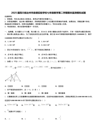 2025届四川省达州市崇德实验学校七年级数学第二学期期末监测模拟试题含解析