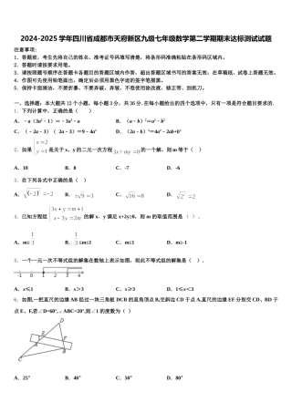 2024-2025学年四川省成都市天府新区九级七年级数学第二学期期末达标测试试题含解析