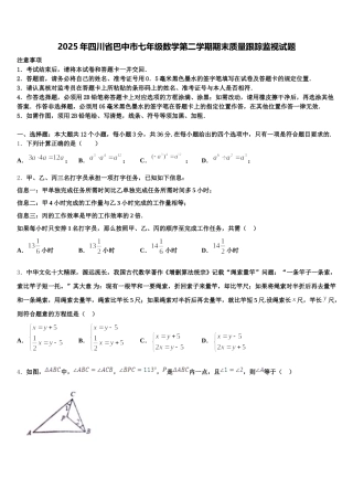 2025年四川省巴中市七年级数学第二学期期末质量跟踪监视试题含解析