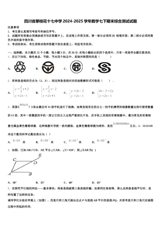 四川省攀枝花十七中学2024-2025学年数学七下期末综合测试试题含解析