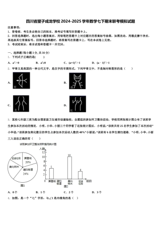 四川省望子成龙学校2024-2025学年数学七下期末联考模拟试题含解析