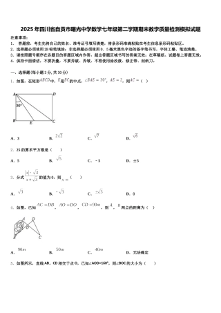 2025年四川省自贡市曙光中学数学七年级第二学期期末教学质量检测模拟试题含解析