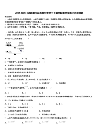2025年四川省成都市双流黄甲中学七下数学期末学业水平测试试题含解析