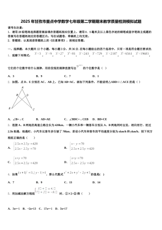 2025年甘孜市重点中学数学七年级第二学期期末教学质量检测模拟试题含解析
