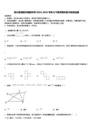 四川省德阳市德阳中学2024-2025学年七下数学期末复习检测试题含解析