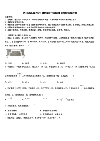 四川省高县2025届数学七下期末质量跟踪监视试题含解析