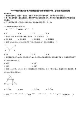 2025年四川省成都市实验外国语学校七年级数学第二学期期末监测试题含解析
