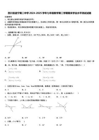 四川省遂宁第二中学2024-2025学年七年级数学第二学期期末学业水平测试试题含解析