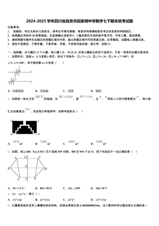 2024-2025学年四川省自贡市田家炳中学数学七下期末统考试题含解析