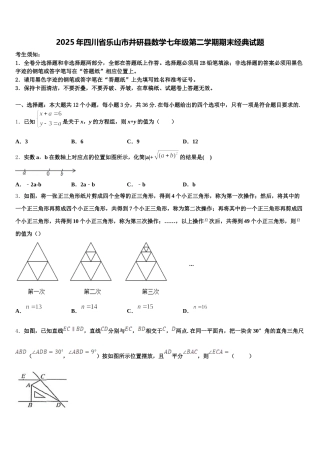2025年四川省乐山市井研县数学七年级第二学期期末经典试题含解析