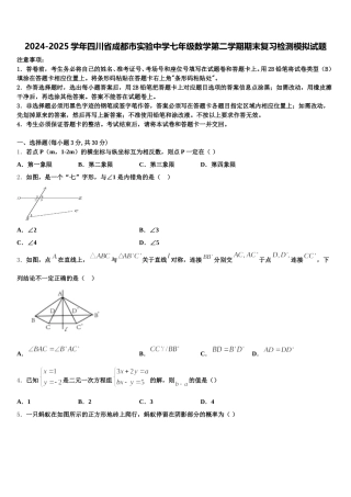 2024-2025学年四川省成都市实验中学七年级数学第二学期期末复习检测模拟试题含解析
