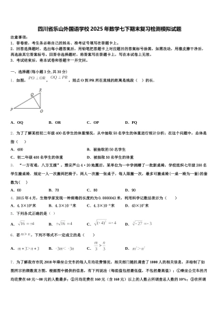 四川省乐山外国语学校2025年数学七下期末复习检测模拟试题含解析