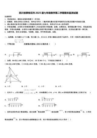 四川省攀枝花市2025届七年级数学第二学期期末监测试题含解析