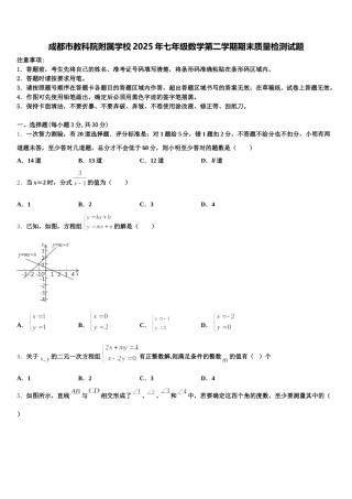 成都市教科院附属学校2025年七年级数学第二学期期末质量检测试题含解析