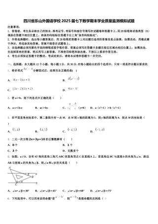四川省乐山外国语学校2025届七下数学期末学业质量监测模拟试题含解析