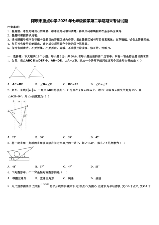 阿坝市重点中学2025年七年级数学第二学期期末考试试题含解析