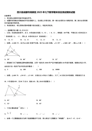 四川省成都市高新区2025年七下数学期末综合测试模拟试题含解析