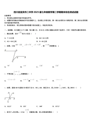 四川省宜宾市二中学2025届七年级数学第二学期期末综合测试试题含解析