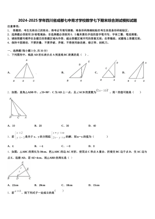 2024-2025学年四川省成都七中育才学校数学七下期末综合测试模拟试题含解析