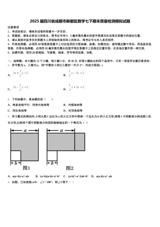 2025届四川省成都市新都区数学七下期末质量检测模拟试题含解析