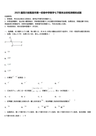 2025届四川省隆昌市第一初级中学数学七下期末达标检测模拟试题含解析