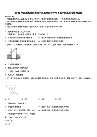 2025年四川省成都市青羊区石室联中学七下数学期末联考模拟试题含解析