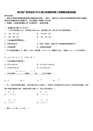 四川省广安市名校2025届七年级数学第二学期期末监测试题含解析