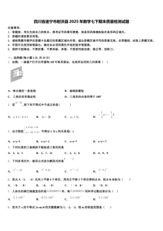 四川省遂宁市射洪县2025年数学七下期末质量检测试题含解析