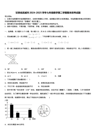 甘肃省武威市2024-2025学年七年级数学第二学期期末统考试题含解析