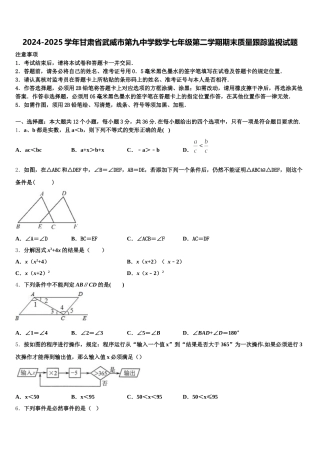 2024-2025学年甘肃省武威市第九中学数学七年级第二学期期末质量跟踪监视试题含解析