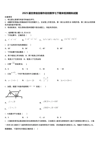 2025届甘肃省白银市名校数学七下期末检测模拟试题含解析