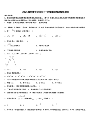 2025届甘肃省平凉市七下数学期末检测模拟试题含解析