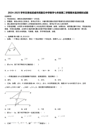 2024-2025学年甘肃省武威市民勤五中学数学七年级第二学期期末监测模拟试题含解析