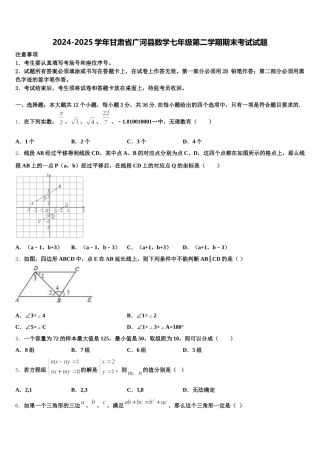 2024-2025学年甘肃省广河县数学七年级第二学期期末考试试题含解析