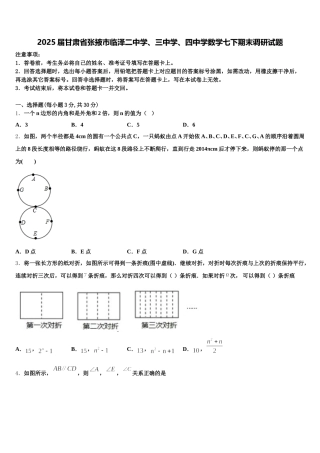 2025届甘肃省张掖市临泽二中学、三中学、四中学数学七下期末调研试题含解析