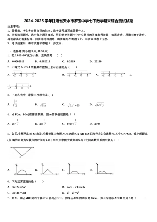 2024-2025学年甘肃省天水市罗玉中学七下数学期末综合测试试题含解析
