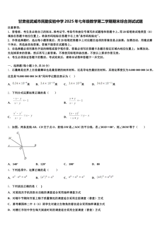 甘肃省武威市民勤实验中学2025年七年级数学第二学期期末综合测试试题含解析