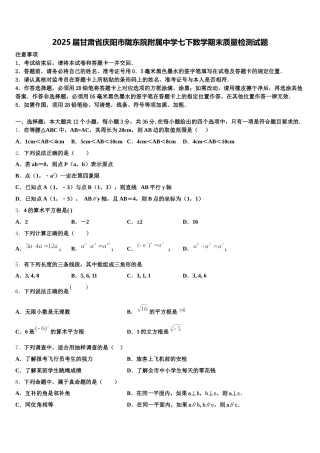 2025届甘肃省庆阳市陇东院附属中学七下数学期末质量检测试题含解析