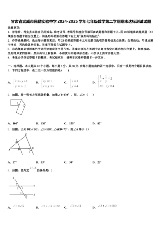 甘肃省武威市民勤实验中学2024-2025学年七年级数学第二学期期末达标测试试题含解析
