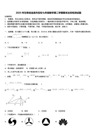 2025年甘肃省金昌市名校七年级数学第二学期期末达标检测试题含解析
