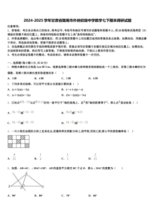 2024-2025学年甘肃省陇南市外纳初级中学数学七下期末调研试题含解析